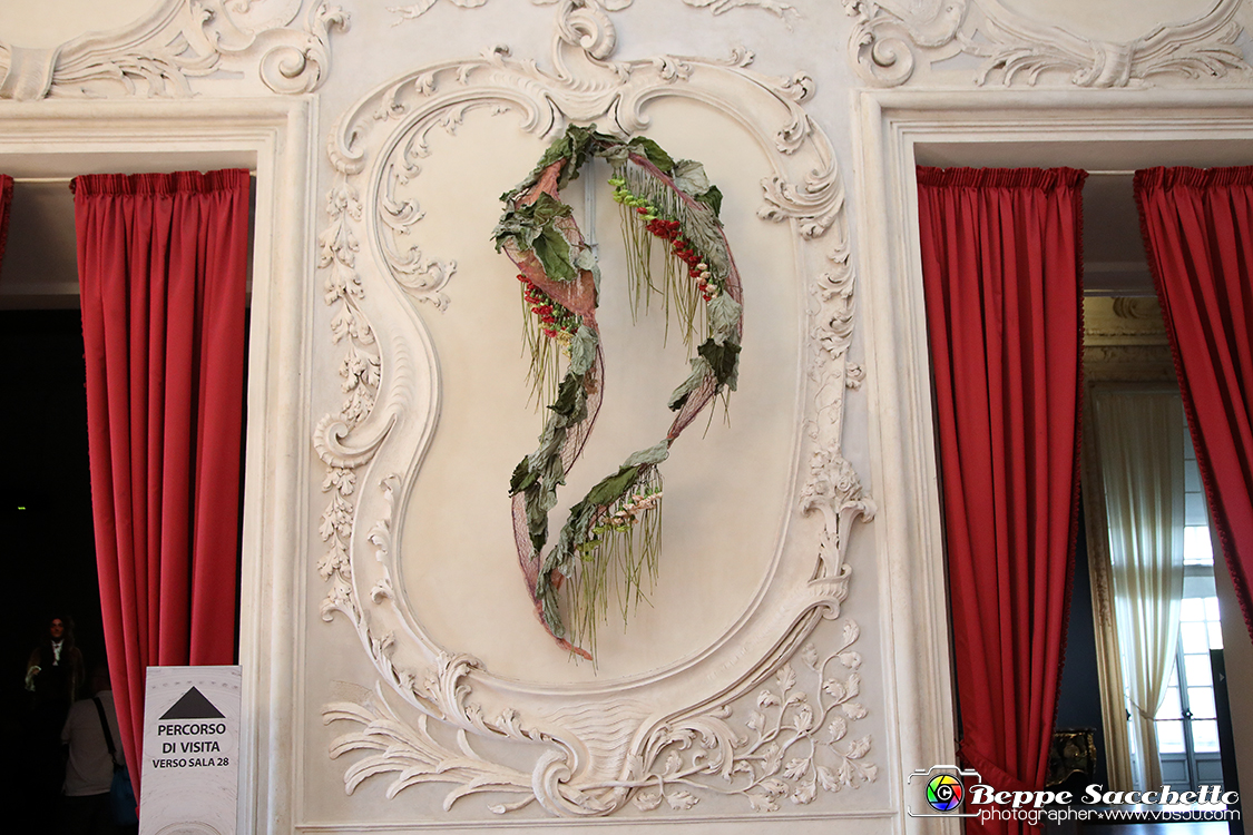 VBS_0114 - Corollaria Flower Exhibition 2022.jpg